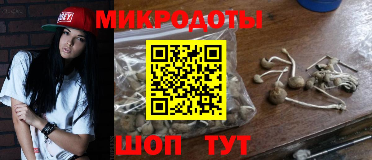 Псилоцибиновые грибы MAGIC MUSHROOMS Рыбинск